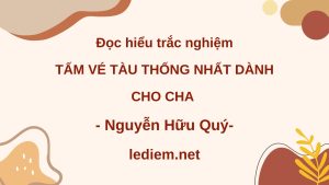 tấm vé tàu thống nhất dành cho cha ; đọc hiểu tấm vé tàu thống nhất dành cho cha ;