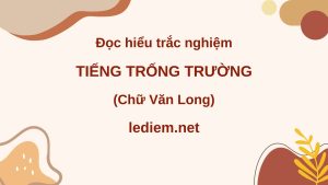 tiếng trống trường chữ văn long ; đọc hiểu tiếng tiếng trống trường chữ văn long ; trắc nghiệm tiếng trống trường chữ văn long