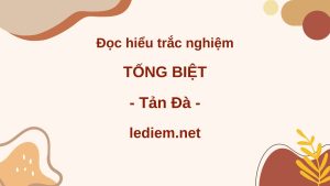 tống biệt tản đà ; đọc hiểu tống biệt tản đà ; trắc nghiệm tống biệt tản đà