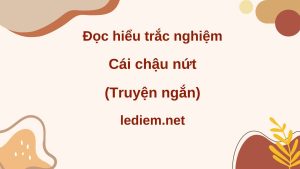 cái chậu nứt ; đọc hiểu cái chậu nứt ; trắc nghiệm cái chậu nứt