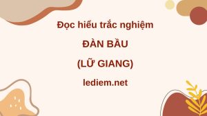 đàn bầu ; đàn bầu lữ giang ; đọc hiểu đàn bầu ; trắc nghiệm đàn bầu ; đọc hiểu đàn bầu lữ giang