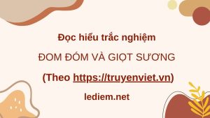 đom đóm và giọt sương ; đọc hiểu đom đóm và giọt sương ; trắc nghiệm đom đóm và giọt sương