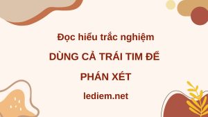 dùng cả trái tim để phán xét ; đọc hiểu dùng cả trái tim để phán xét ; trắc nghiệm dùng cả trái tim để phán xét