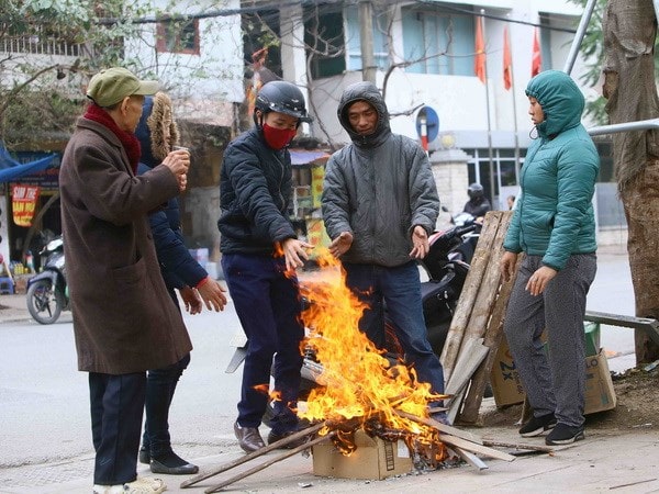 khi đông đã vào sâu rét ngọt ; đọc hiểu khi đông đã vào sâu rét ngọt ; trắc nghiệm khi đông đã vào sâu rét ngọt