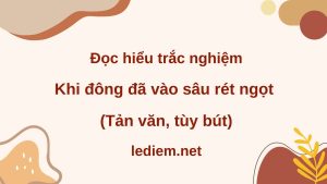 khi đông đã vào sâu rét ngọt ; đọc hiểu khi đông đã vào sâu rét ngọt ; trắc nghiệm khi đông đã vào sâu rét ngọt