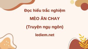 mèo ăn chay ; đọc hiểu mèo ăn chay ; trắc nghiệm mèo ăn chay