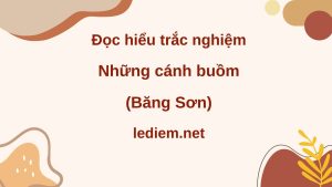 những cánh buồm ; những cánh buồm Băng Sơn ; đọc hiểu những cánh buồm ; trắc nghiệm những cánh buồm