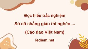 số cô chẳng giàu thì nghèo ; trắc nghiệm số cô chẳng giàu thì nghèo ; đọc hiểu số cô chẳng giàu thì nghèo