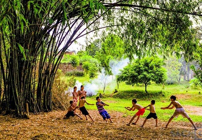 bỗng nhiên nhớ quê mình ; bỗng nhiên nhớ quê mình nguyễn đình ánh ; đọc hiểu bỗng nhiên nhớ quê mình ; trắc nghiệm bỗng nhiên nhớ quê mình