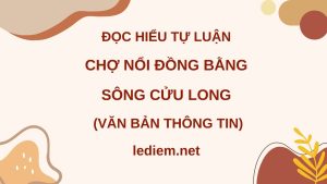 Chợ nổi Đồng bằng sông Cửu Long ; đọc hiểu Chợ nổi Đồng bằng sông Cửu Long