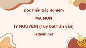 mạ non ; mạ non y nguyên ; đọc hiểu mạ non ; trắc nghiệm mạ non