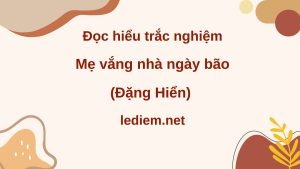 mẹ vắng nhà ngày bão ; đọc hiểu mẹ vắng nhà ngày bão ; trắc nghiệm mẹ vắng nhà ngày bão ; mẹ vắng nhà ngày bão đặng hiển