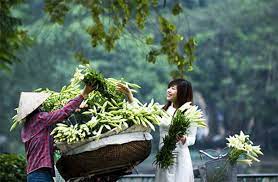 miên man tháng tư ; miên man tháng tư Ngô Thế Lâm ; đọc hiểu miên man tháng tư ; trắc nghiệm miên man tháng tư