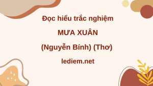 mưa xuân ; mưa xuân nguyễn bính ; đọc hiểu mưa xuân ; trắc nghiệm mưa xuân