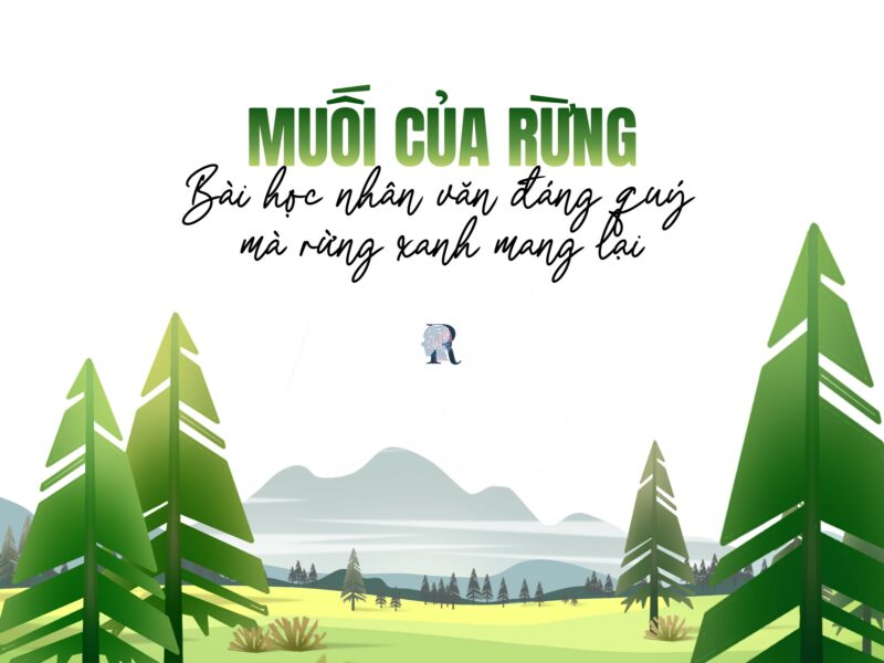 muối của rừng ; muối của rừng nguyễn huy thiệp ; đọc hiểu muối của rừng