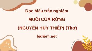 muối của rừng ; muối của rừng nguyễn huy thiệp ; đọc hiểu muối của rừng