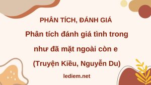 phân tích đánh giá tình trong như đã mặt ngoài còn e ; phân tích đánh giá đoạn trích tình trong như đã mặt ngoài còn e