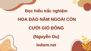 hoa đào năm ngoái còn cười gió đông ; đọc hiểu hoa đào năm ngoái còn cười gió đông ; trắc nghiệm hoa đào năm ngoái còn cười gió đông