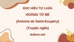 hoàng tử bé ; đọc hiểu hoàng tử bé