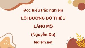 lỗi dương đỗ thiếu lăng mộ ; đọc hiểu lỗi dương đỗ thiếu lăng mộ ; trắc nghiệm lỗi dương đỗ thiếu lăng mộ