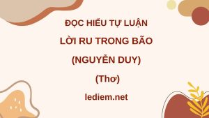 lời ru trong bão ; đọc hiểu lời ru trong bão