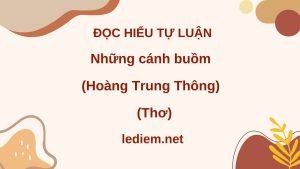 những cánh buồm hoàng trung thông ; đọc hiểu những cánh buồm hoàng trung thông