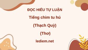 tiếng chim tu hú, đọc hiểu tiếng chim tu hú