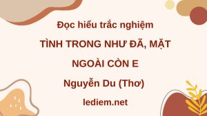 tình trong như đã mặt ngoài còn e ; đọc hiểu tình trong như đã mặt ngoài còn e ; trắc nghiệm tình trong như đã mặt ngoài còn e