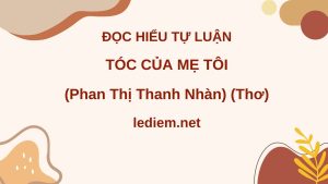 tóc của mẹ tôi ; đọc hiểu tóc của mẹ tôi