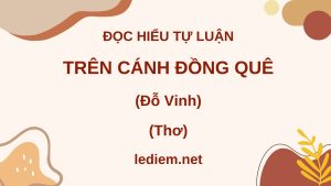 trên cánh đồng quê ; trên cánh đồng quê đỗ vinh ; đọc hiểu trên cánh đồng quê