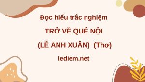 trở về quê nội ; trở về quê nội lê anh xuân ; đọc hiểu trở về quê nội