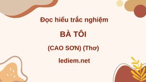 bà tôi ; đọc hiểu bà tôi ; trắc nghiệm bà tôi