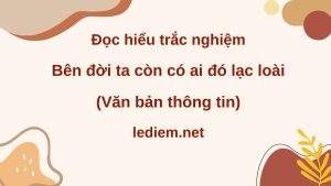 bên đời ta còn có ai lạc loài ; đọc hiểu bên đời ta còn có ai lạc loài