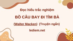 bồ câu bay đi tìm bà ; đọc hiểu bồ câu bay đi tìm bà ; trắc nghiệm bồ câu bay đi tìm bà