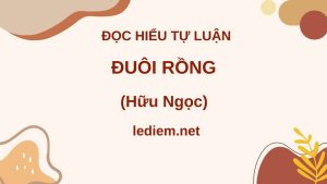 đuôi rồng ; đọc hiểu đuôi rồng