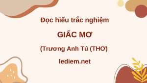 giấc mơ trương anh tú ; đọc hiểu giấc mơ trương anh tú ; trắc nghiệm giấc mơ trương anh tú