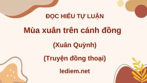 mùa xuân trên cánh đồng ; đọc hiểu mùa xuân trên cánh đồng