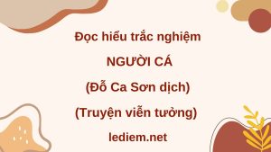 người cá ; đọc hiểu người cá