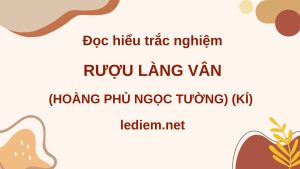 rượu làng vân ; đọc hiểu rượu làng vân ; trắc nghiệm rượu làng vân