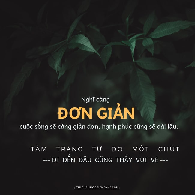 đọc hiểu sống đơn giản ; sống đơn giản còn có lợi cho môi trường