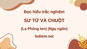 sư tử và chuột ; đọc hiểu sư tử và chuột ; trắc nghiệm sư tử và chuột