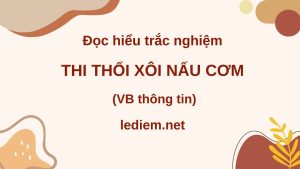 thi thổi xôi nấu cơm ; đọc hiểu thi thổi xôi nấu cơm ; trắc nghiệm thi thổi xôi nấu cơm