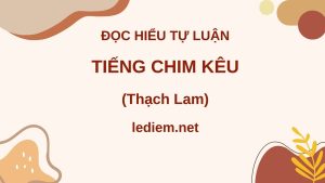 tiếng chim kêu ; đọc hiểu tiếng chim kêu