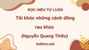 đọc hiểu tôi khóc những cánh đồng rau khúc