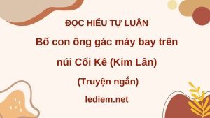 Bố con ông gác máy bay trên núi Cối Kê ; đọc hiểu Bố con ông gác máy bay trên núi Cối Kê