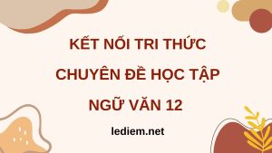 Đọc chuyên đề học tập văn 12 sách kết nối tri thức