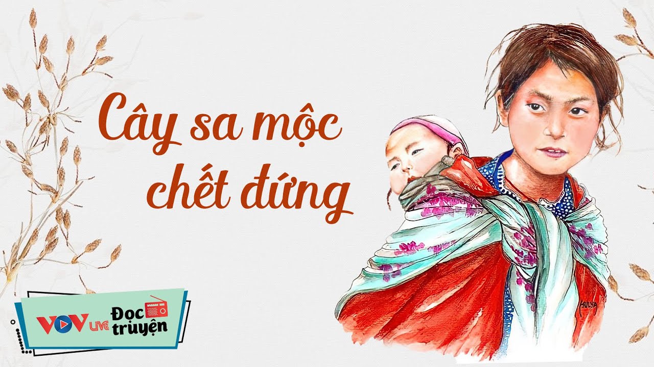 cây sa mộc chết đứng ; đọc hiểu cây sa mộc chết đứng