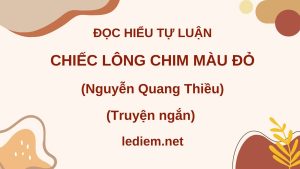 chiếc lông chim màu đỏ ; đọc hiểu chiếc lông chim màu đỏ ; chiếc lông chim màu đỏ nguyễn quang thiều ; đọc hiểu chiếc lông chim màu đỏ nguyễn quang thiều