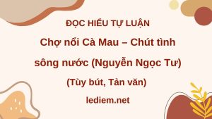 chợ nổi cà mau chút tình sông nước ; đọc hiểu chợ nổi cà mau chút tình sông nước