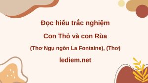 con thỏ và con rùa ; đọc hiểu con thỏ và con rùa